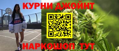 стаф Новокубанск