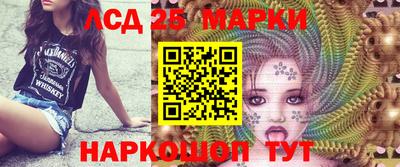 стаф Новокубанск