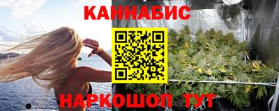ECSTASY Новозыбков