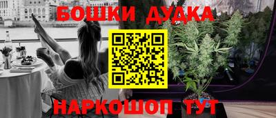 стаф Новокубанск